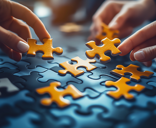 Synchronizing Business Strategy with Ownership Transition Objectives