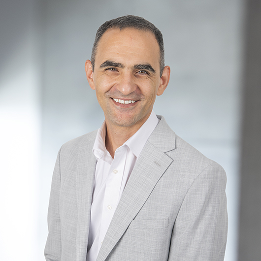 Photo of Roozbeh Kermani